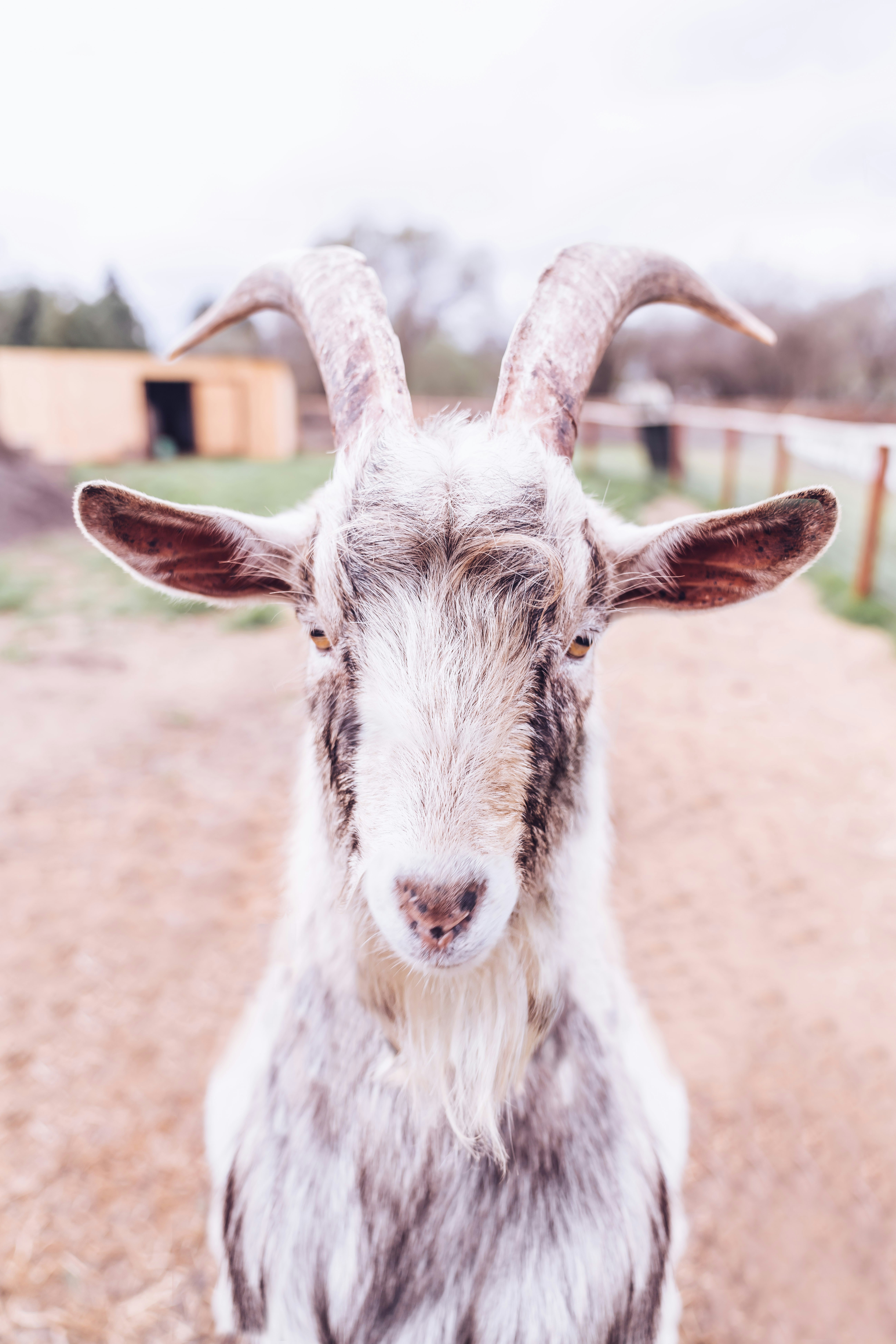 edgar-chaparro-BkvRxV4tXEY-unsplash edgar-chaparro-BkvRxV4tXEY-unsplash